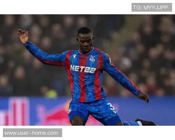 电讯报称水晶宫冬窗欲引热刺边锋布伦南约翰逊补强锋线